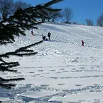 De Gamme Avec Sauna, Terrasse Et Jardin Pres De La Montagne Vosgienne - Fr-1-589-185 Saint-Nabord
