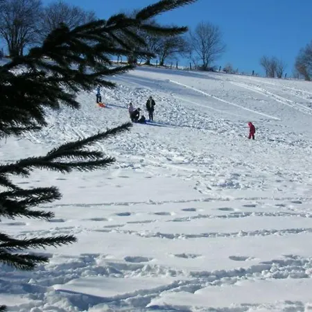 De Gamme Avec Sauna, Terrasse Et Jardin Pres De La Montagne Vosgienne - Fr-1-589-185 Saint-Nabord