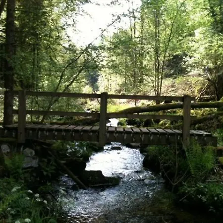 De Gamme Avec Sauna, Terrasse Et Jardin Pres De La Montagne Vosgienne - Fr-1-589-185 Nyaraló *
