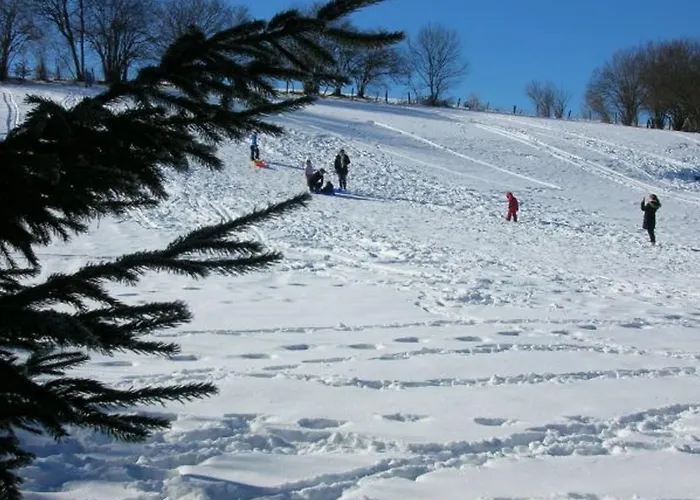 De Gamme Avec Sauna, Terrasse Et Jardin Pres De La Montagne Vosgienne - Fr-1-589-185 Saint-Nabord
