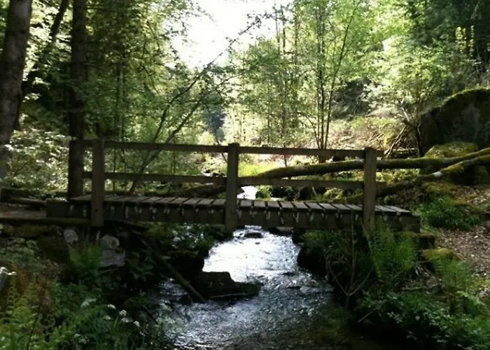 De Gamme Avec Sauna, Terrasse Et Jardin Pres De La Montagne Vosgienne - Fr-1-589-185 Prázdninový dům *